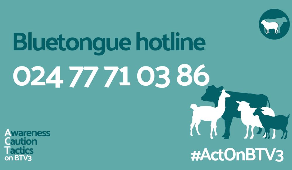 Teal graphic displaying the bluetongue hotline number